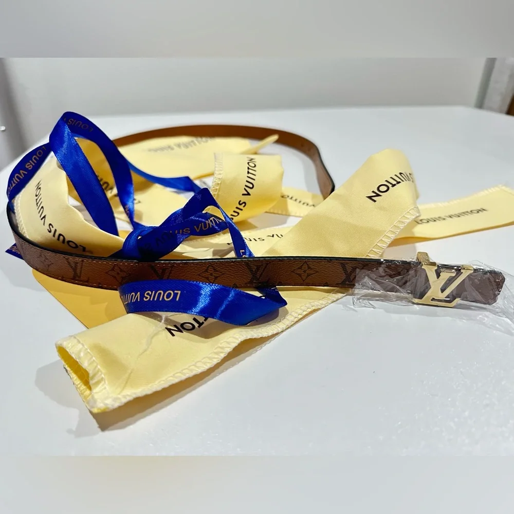 Louis Vuitton Brown and Gold Belt - Picture 2 of 5